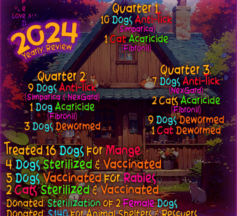 2024 Recap